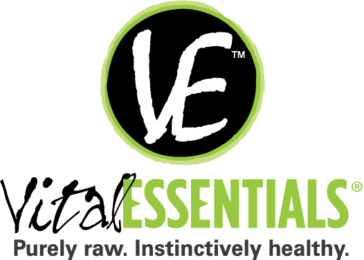 VE Logo_web