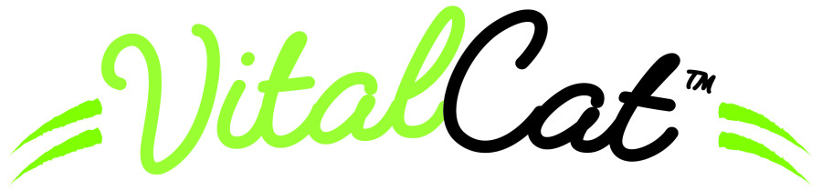 Vital Cat Logo_Primary