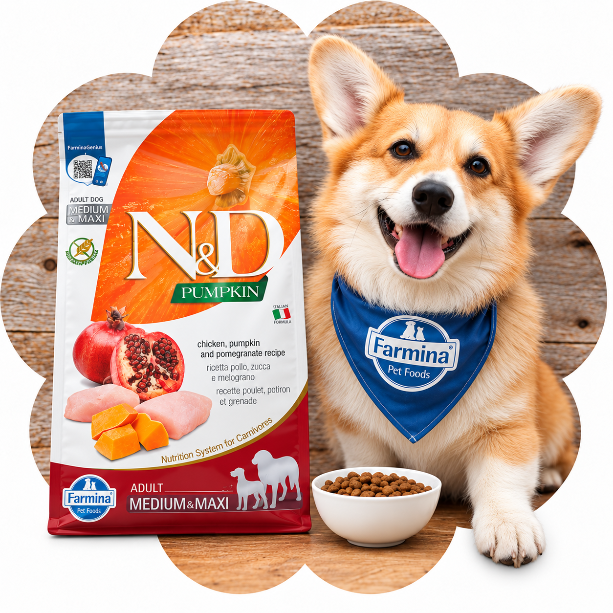 Farmina N&D Pumpkin dog food with corgi