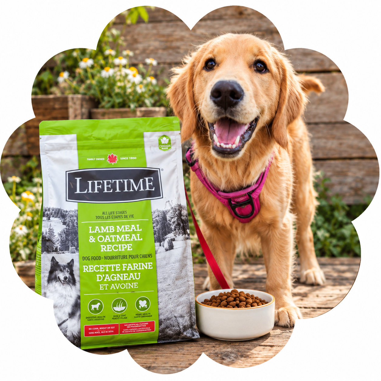 Lifetime Pet Food nutrition for dogs and cats